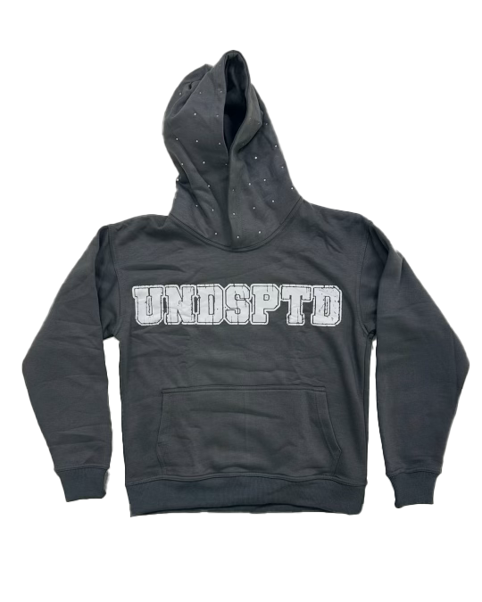 Grey UNDSPTD Hoodie